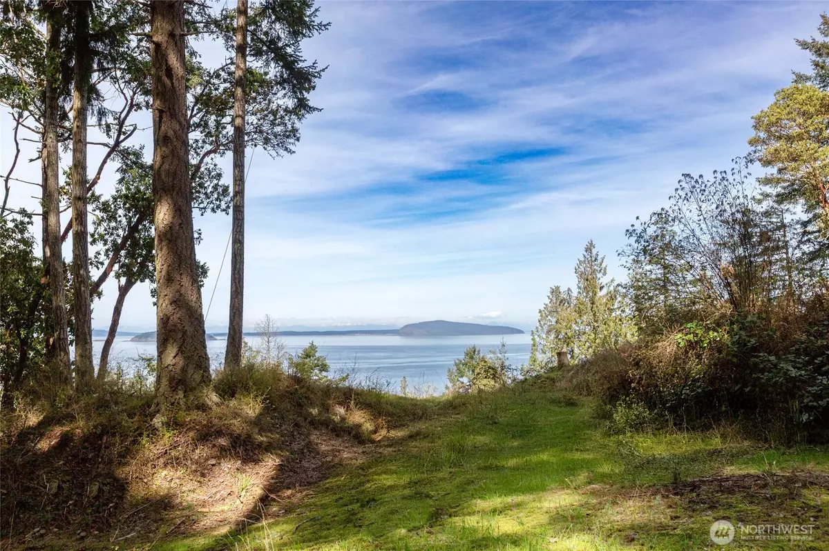 Friday Harbor, WA 98250,87 Conifer LN