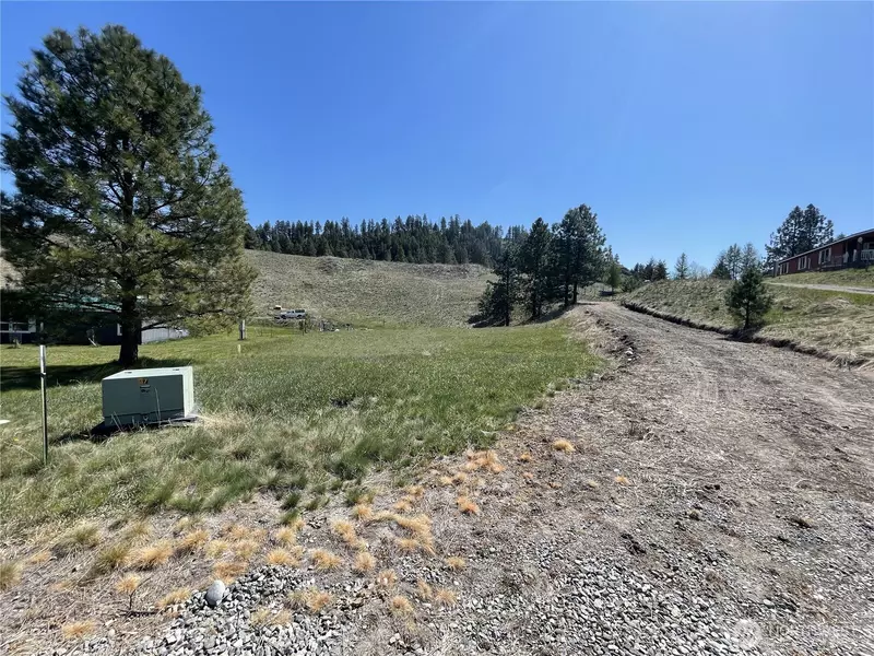 8 Killdeer CT, Republic, WA 99166