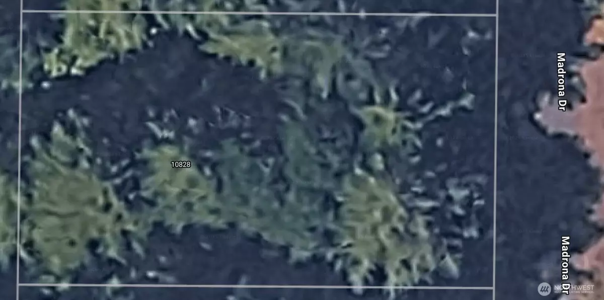 Anderson Island, WA 98303,10828 Madrona Dr