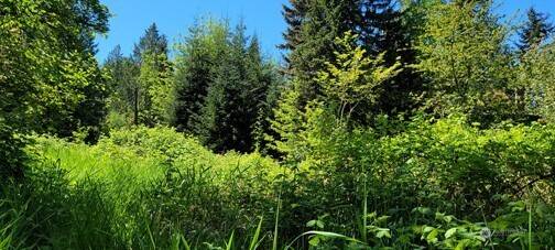 825 99th AVE SE, Lake Stevens, WA 98258