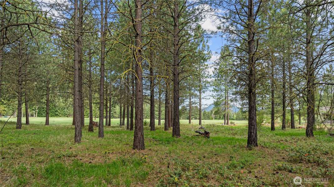 1950 Ruby King LOOP, Cle Elum, WA 98922