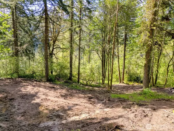 Kalama, WA 98625,0 0 Old Spreadborough RD