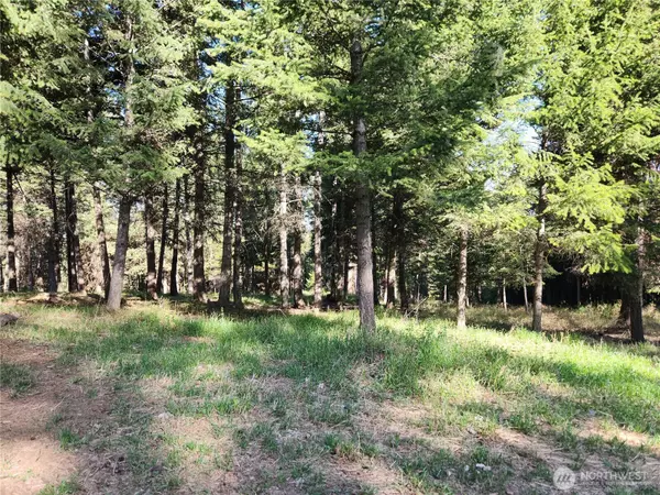 Oroville, WA 98844,51 Trapline Loop RD