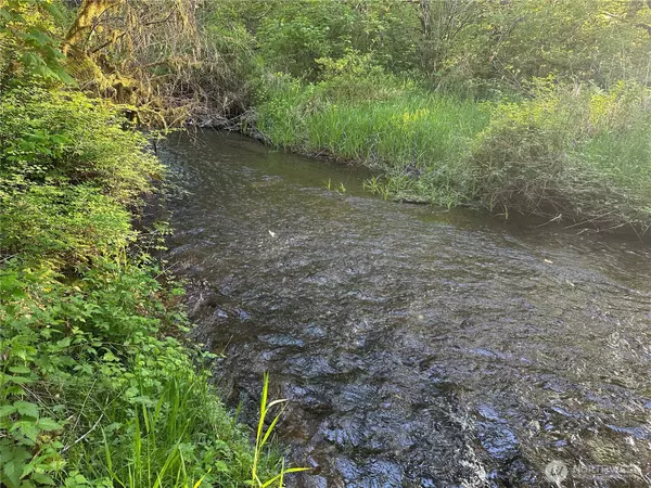 Matlock, WA 98560,211 W New Moon LN