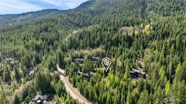 Cle Elum, WA 98922,91 Basin Creek WAY