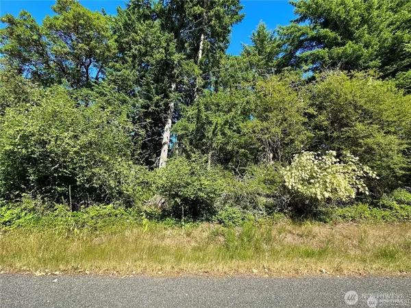 Anderson Island, WA 98303,10709 Madrona DR