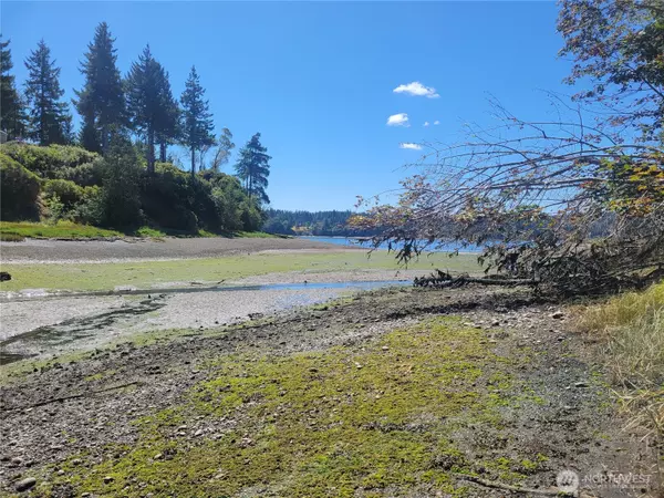 Grapeview, WA 98546,900 E Wilson Way