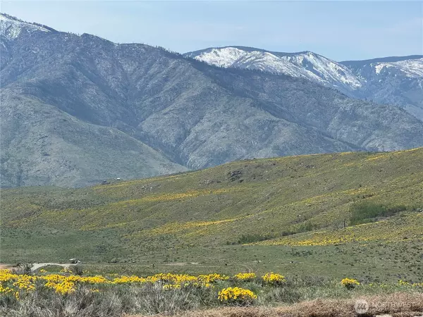 Methow, WA 98834,0 Lot 4 High Ranch Rd.