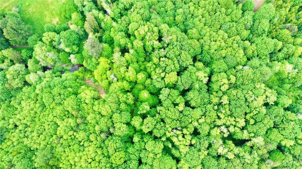 Belfair, WA 98528,0 Lot 2 NE Old Belfair HWY