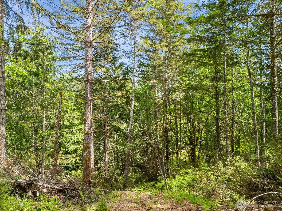 Union, WA 98592,0 E Gerbing View DR