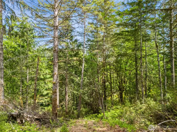 0 E Gerbing View DR, Union, WA 98592