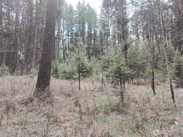 Oroville, WA 98844,0 Trapline Loop RD