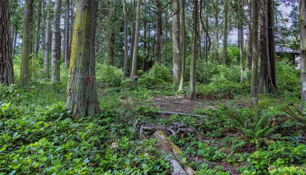 5679 Sheridan ST, Port Townsend, WA 98368