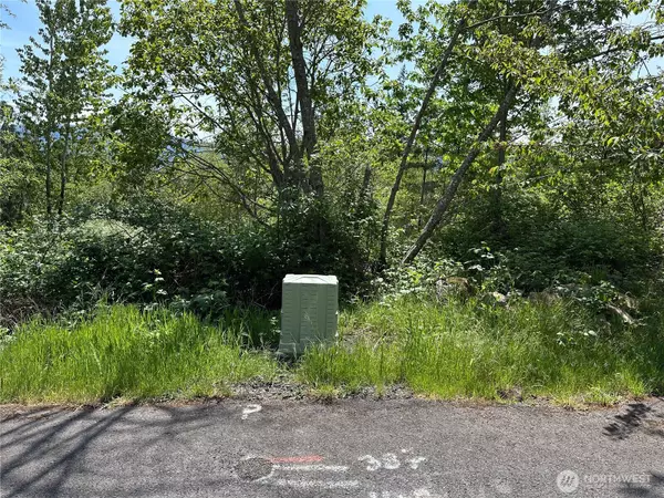 Cathlamet, WA 98612,0 Maple Ridge Rd