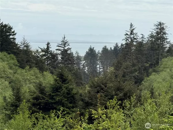 34 Discovery CT, Ilwaco, WA 98624