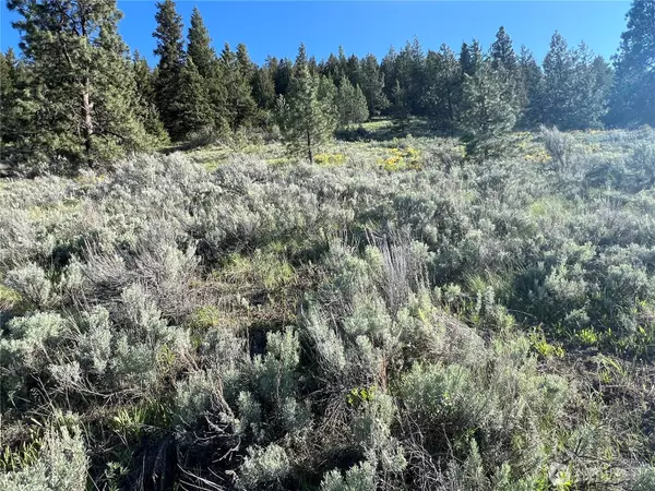 Oroville, WA 98844,7 Gold Rush Ridge RD