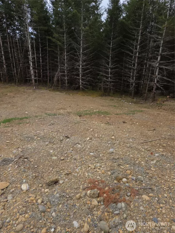 Union, WA 98592,490 E Pinedirosa RD #A