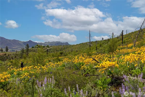 70 TBD Hill DR, Twisp, WA 98856