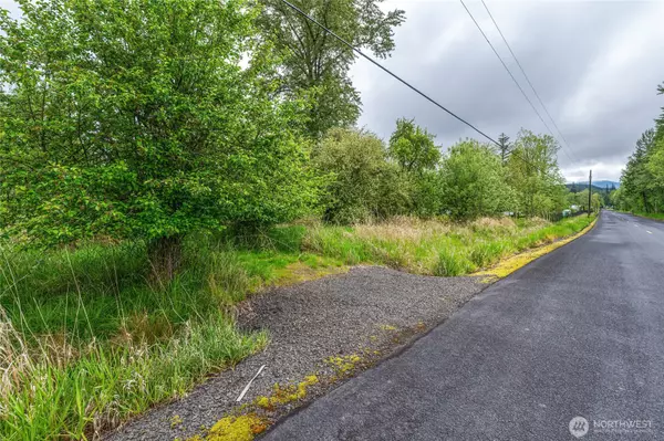 Toutle, WA 98649,0 Crabill Rd