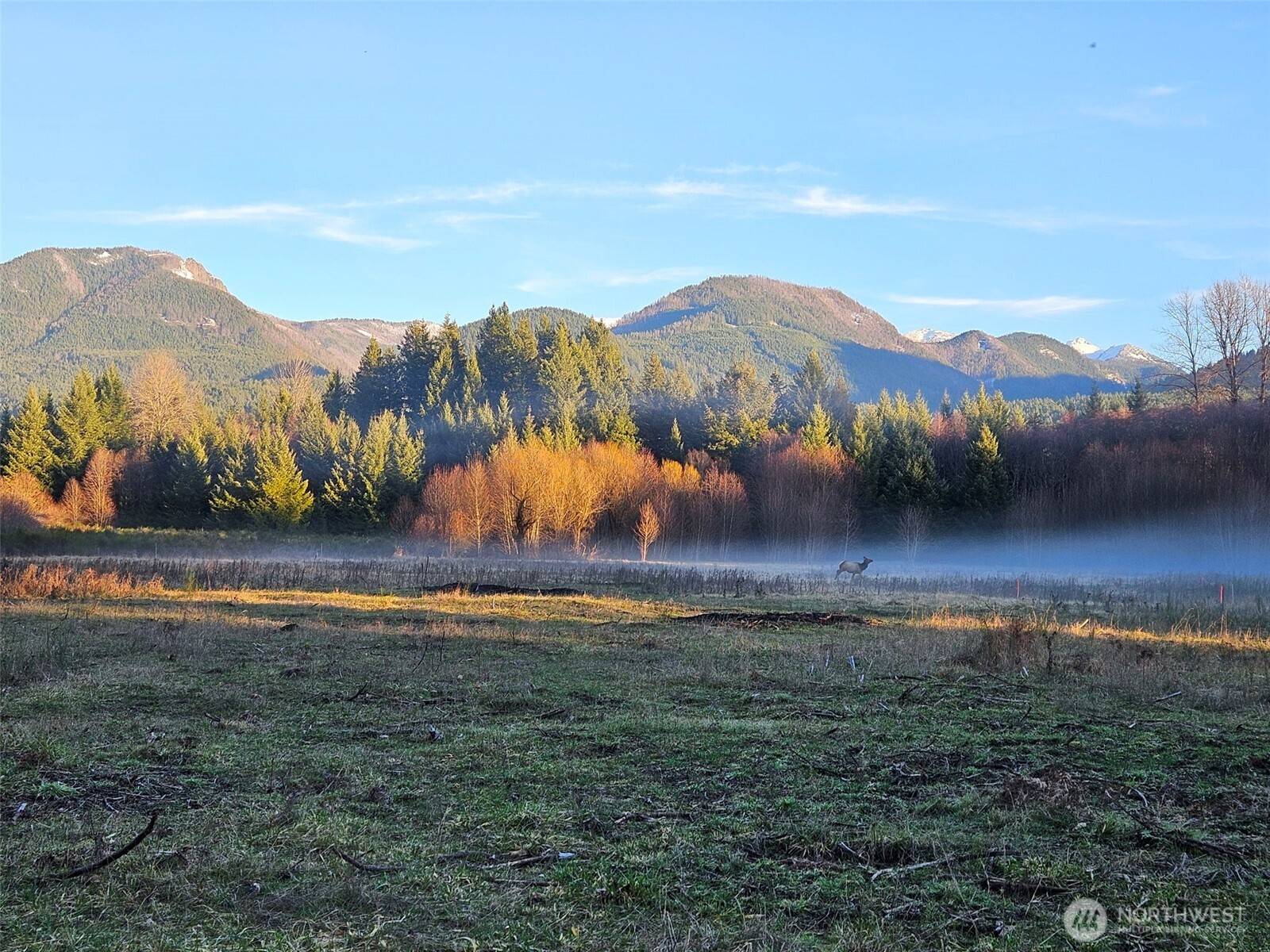 127 Campfire LN, Packwood, WA 98361