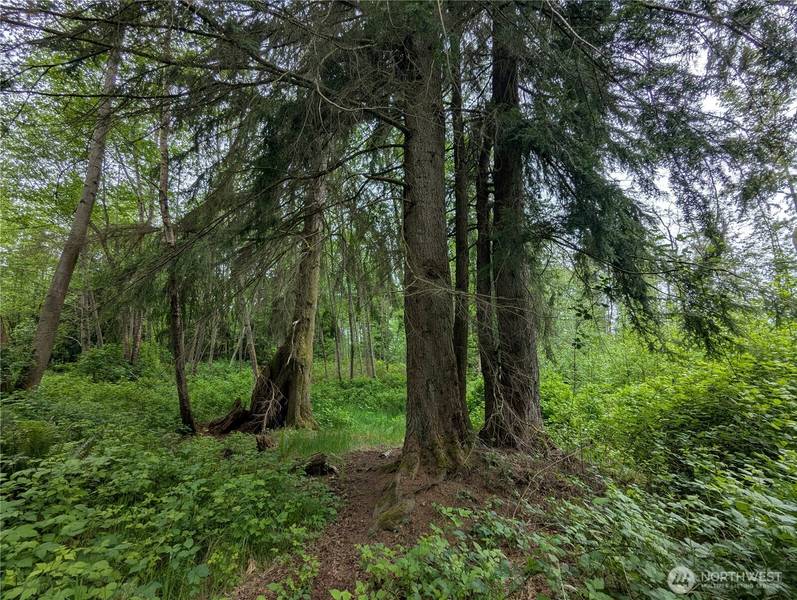 21916 123rd AVE NE, Arlington, WA 98223