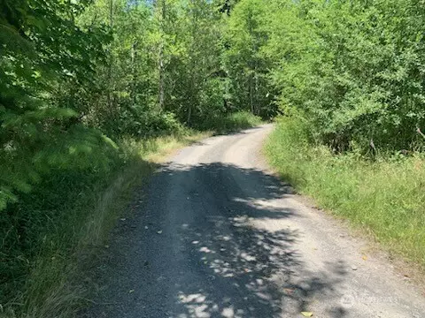 Toutle, WA 98649,0 2500 RD