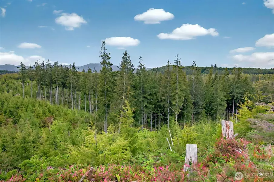 4 Parpala RD #4, Naselle, WA 98638