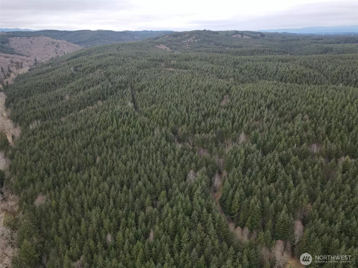 Chehalis, WA 98532,0 S Scheuber Road