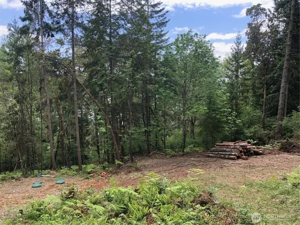 Vaughn, WA 98329,11415 189th AVE NW