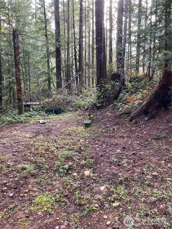 Hoodsport, WA 98548,231 N Goldeneye DR