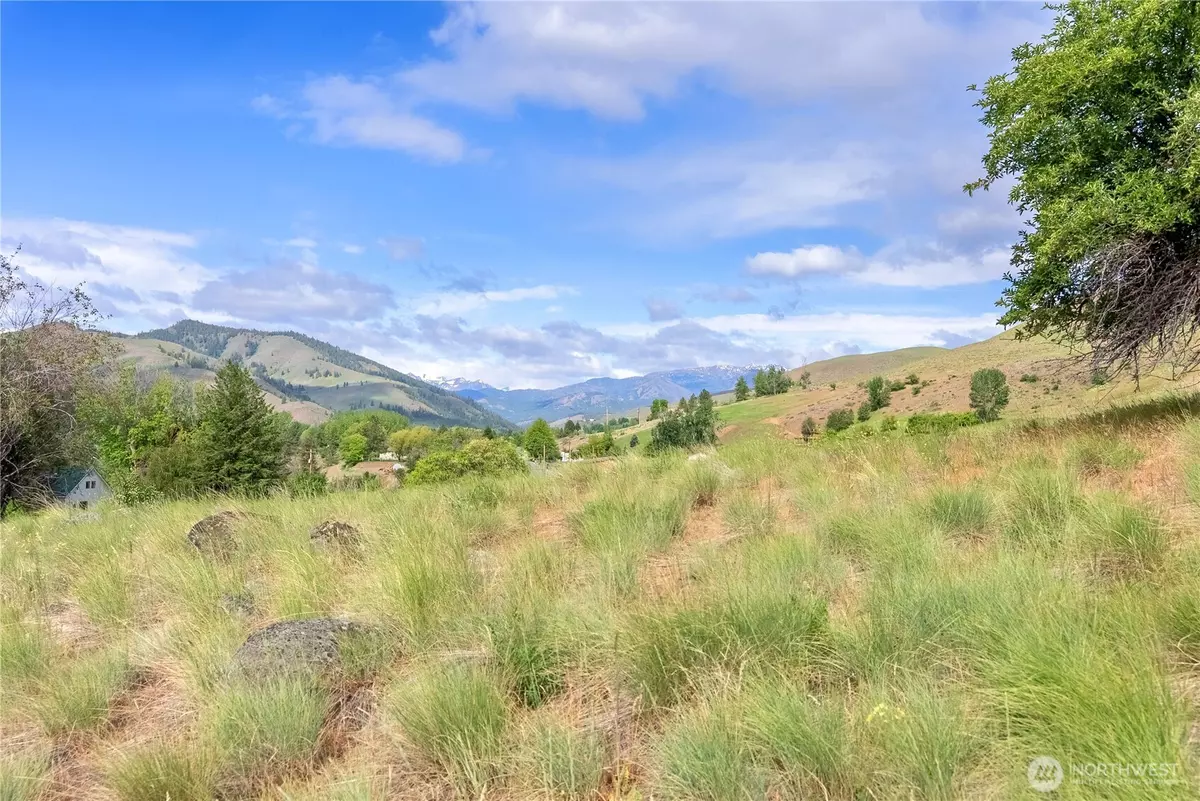 Twisp, WA 98801,187 Twisp River RD
