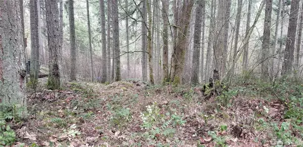 Yelm, WA 98597,17840 Upland DR SE