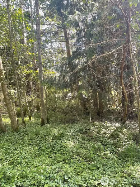 1321 54th ST, Port Townsend, WA 98368
