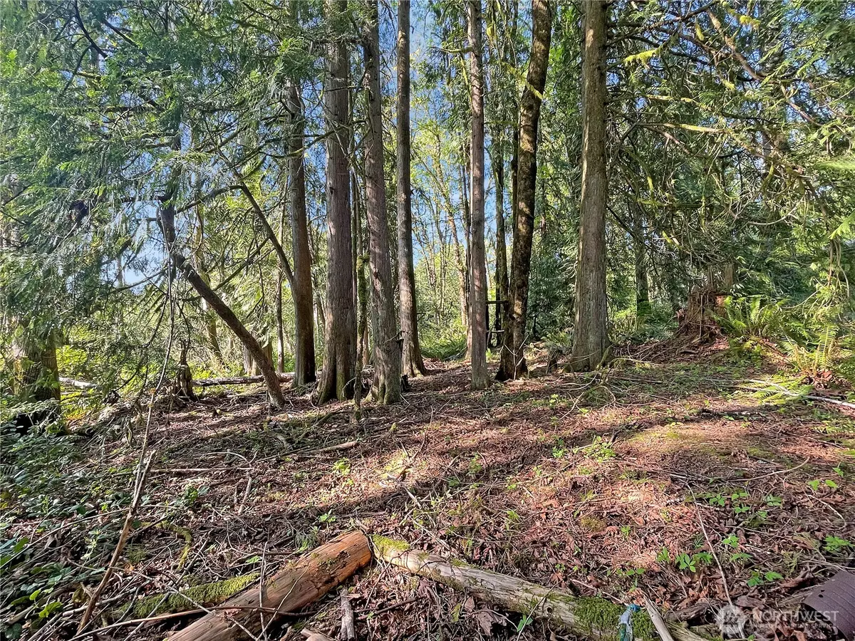 Castle Rock, WA 98611,0 Studebaker Spur 1