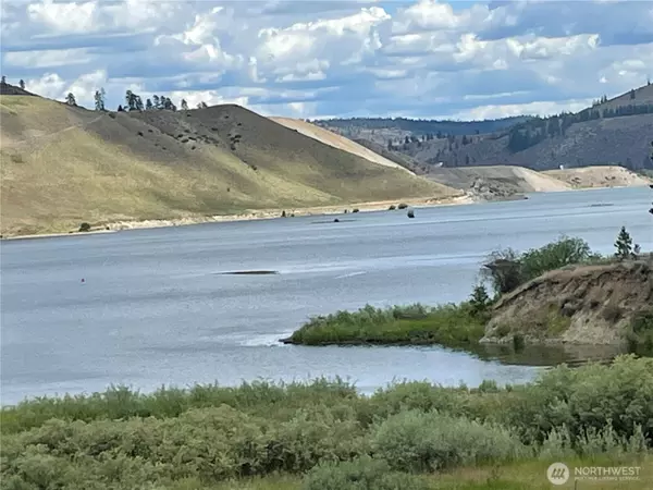 36101 Mill Canyon Road N, Davenport, WA 99122