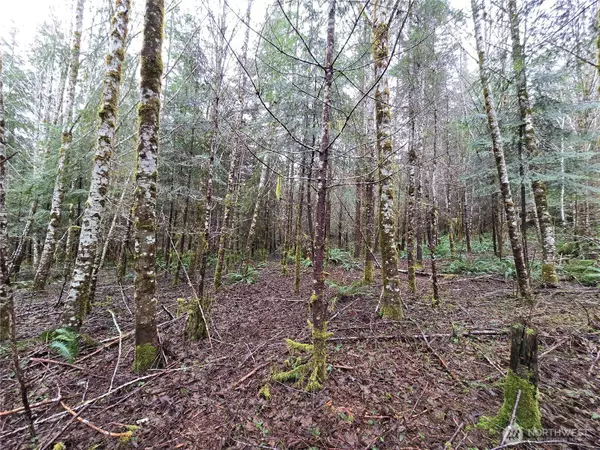 Elma, WA 98541,261 W Elk Hill RD