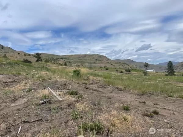 Pateros, WA 98846,0 Lot 4 Black Canyon RD