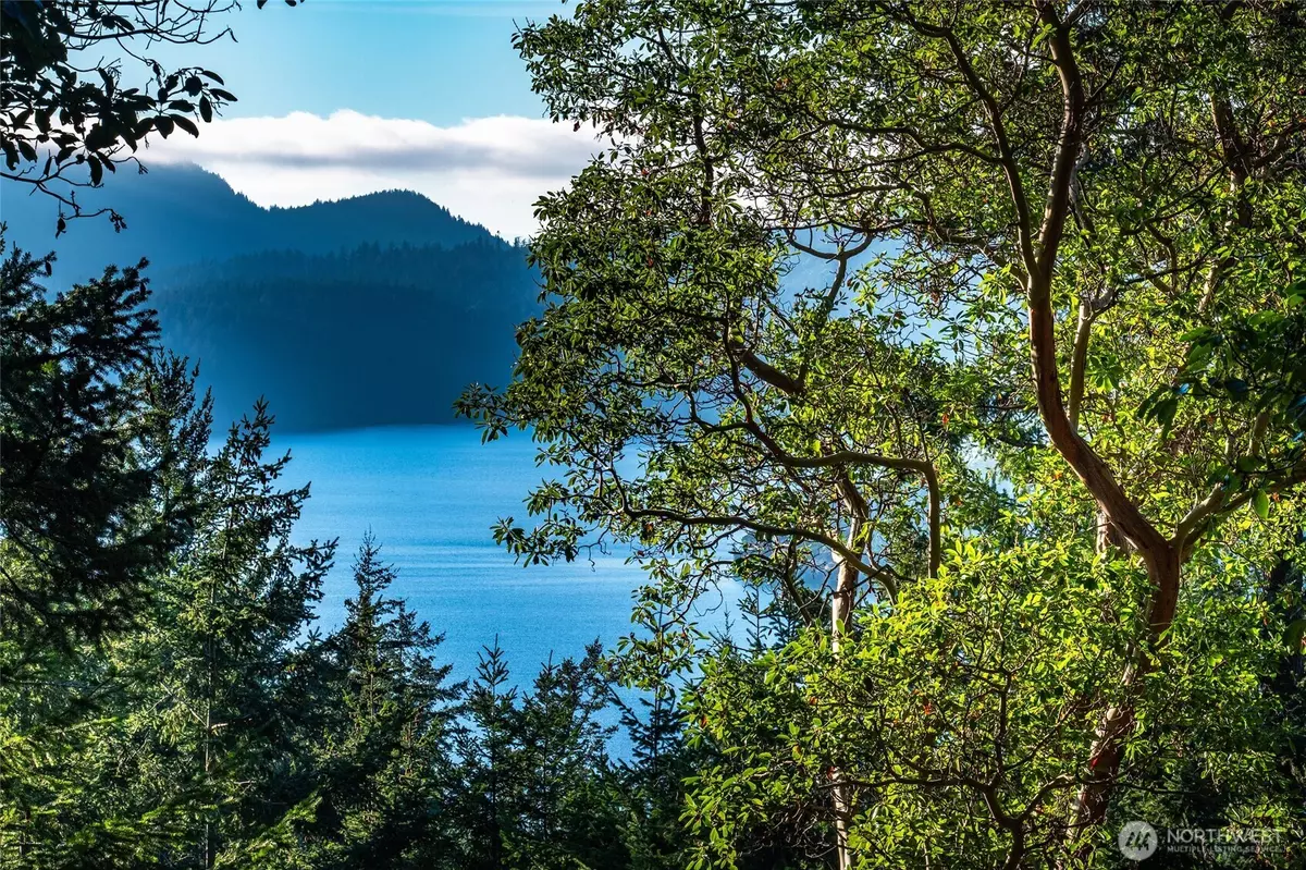 Orcas Island, WA 98245,558 Buck Mt. RD