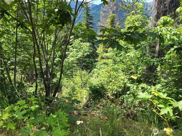 Ronald, WA 98940,7 Newport Creek LOOP