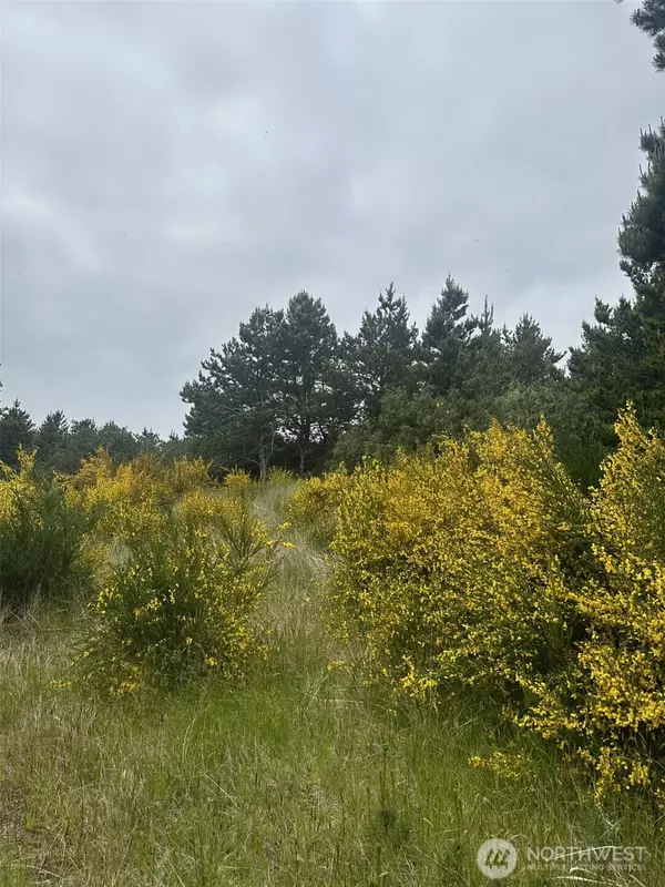 Ocean Shores, WA 98569,723 S Sand Dune AVE SW