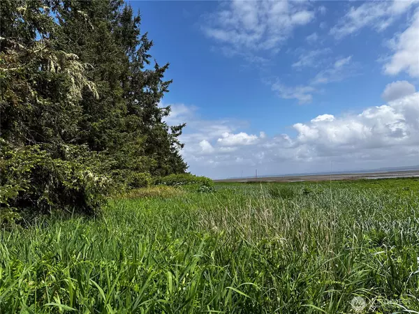 Oysterville, WA 98640,31010 Sandridge RD