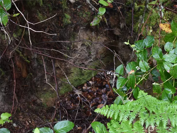 Anderson Island, WA 98303,10921 Pioneer DR