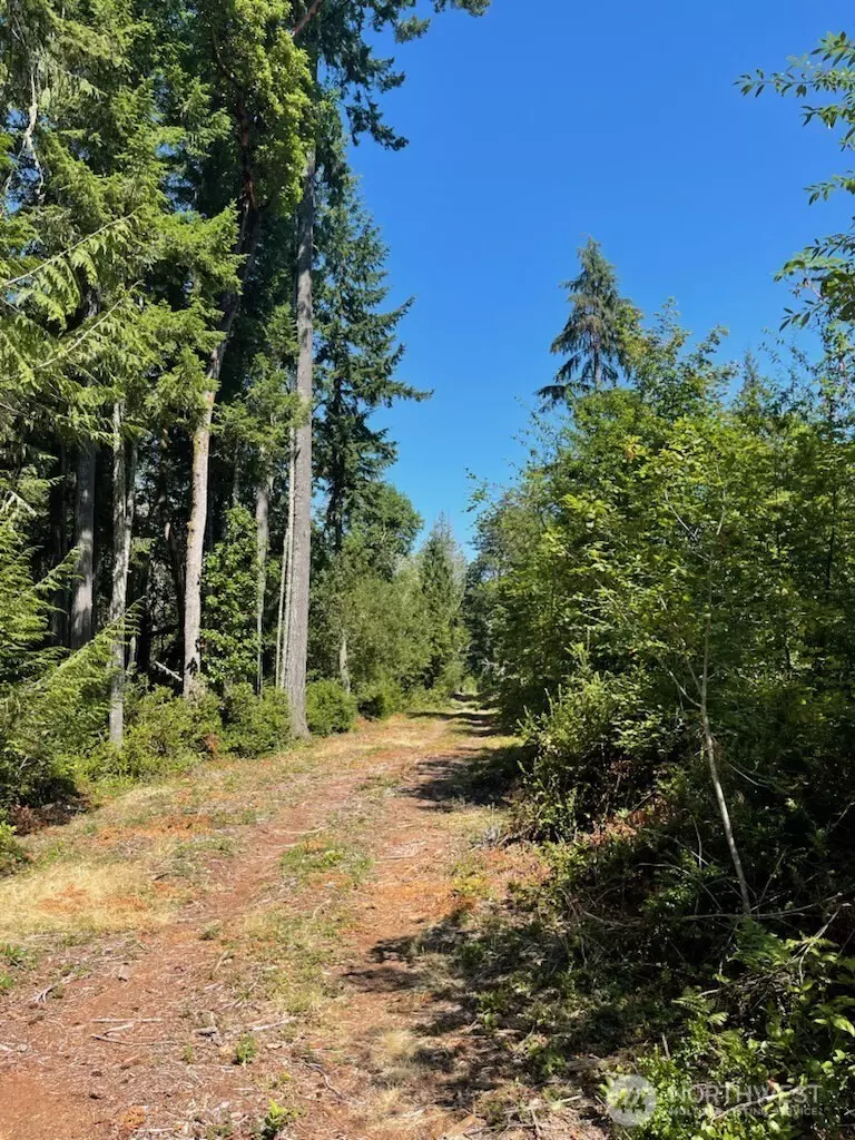 Lakebay, WA 98349,411 208th AVE NW