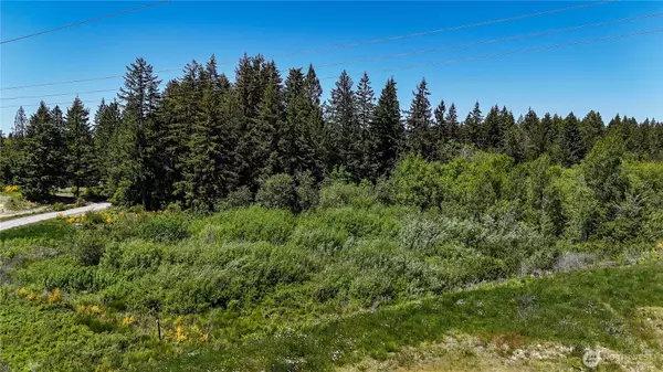 Roy, WA 98580,0 82nd AVE S