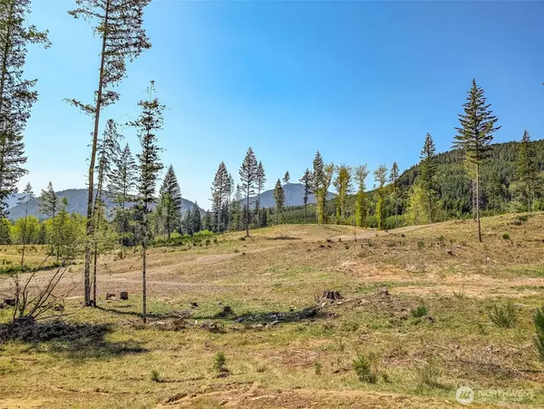 Packwood, WA 98361,0 Craig RD #Lot A1