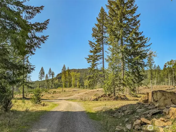 Packwood, WA 98361,0 Craig RD #Lot B3