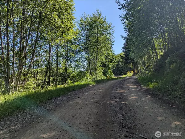 Cougar, WA 98616,0 Parcel 0706340003030