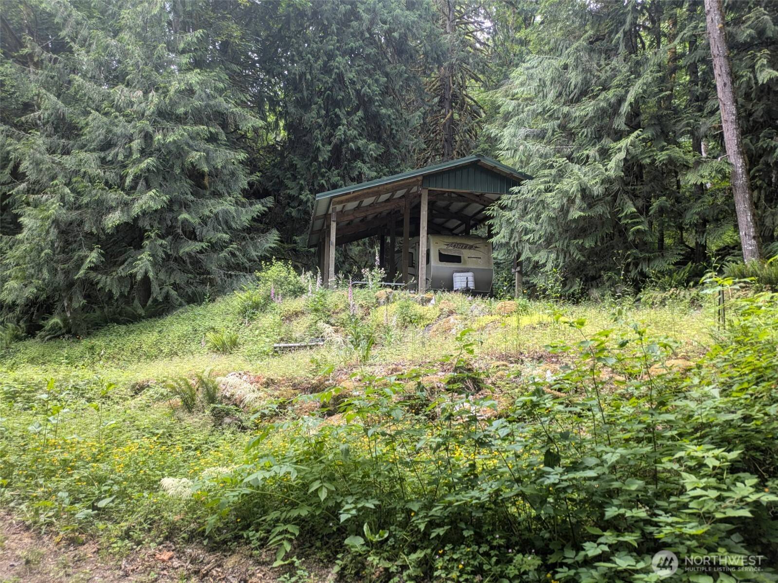 64315 Lookout Mountain LOOP #1D170, Marblemount, WA 98267