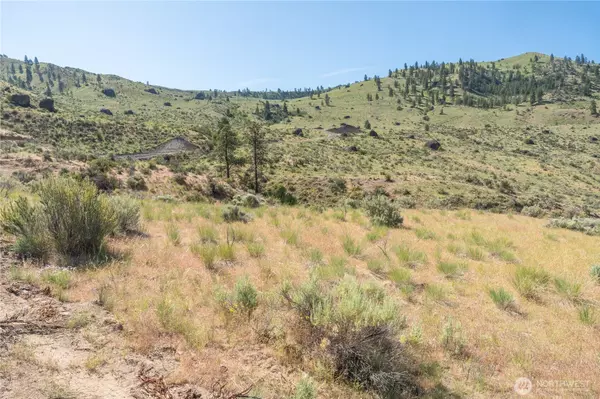 Orondo, WA 98816,0 Tract 1 McNeil Canyon Rd
