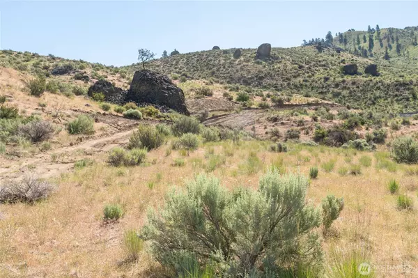 Orondo, WA 98816,0 Tract 1 McNeil Canyon Rd